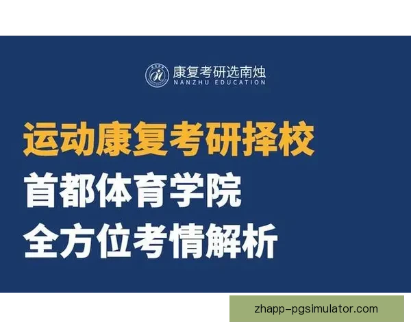 体育球员数据查询系统全方位解析
