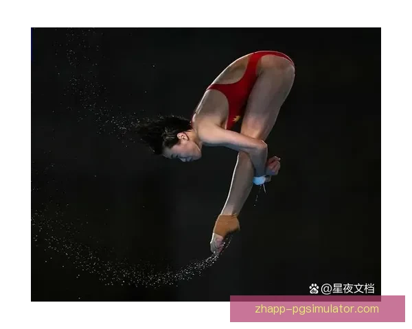 2024年巴黎奥运会跳水比赛：中国队再获多枚金牌，刷新世界纪录