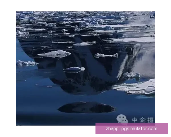 世界跳水排名：探秘榜首之路