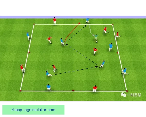 全面解析足球训练方法及技巧