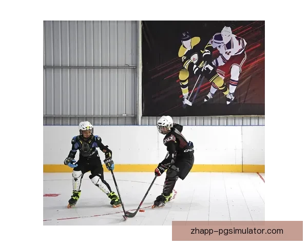 冰球训练新视角:提升技术水平的有效方法 冰球训练新视角:提升技术水平的有效方法