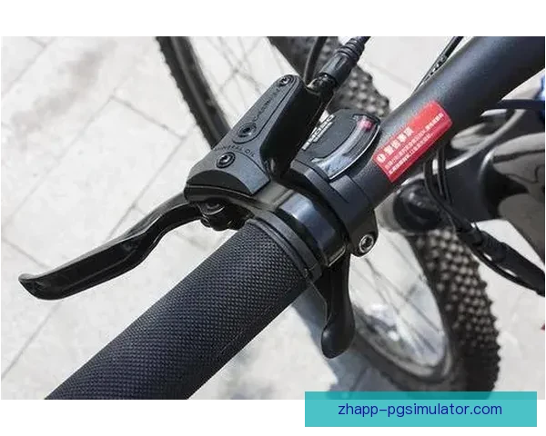 山地车盘口解析:看懂山地车的设计原理和技术特点 山地车盘口解析:看懂山地车的设计原理和技术特点