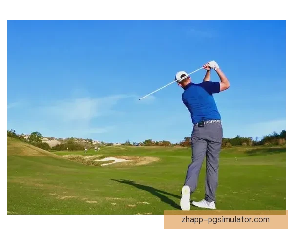 探寻高尔夫冠军的胜利之路