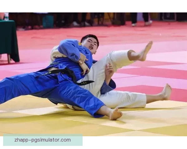 柔道锦标赛:探索武道之美 柔道锦标赛:探索武道之美