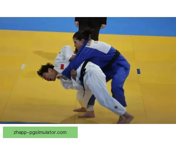 柔道规则背后的精髓与哲理 柔道规则背后的精髓与哲理