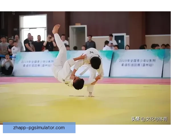 柔道数据分析:技术统计与对策研究 柔道数据分析:技术统计与对策研究