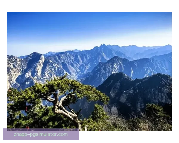 穿越山林,追逐极限快感 穿越山林,追逐极限快感