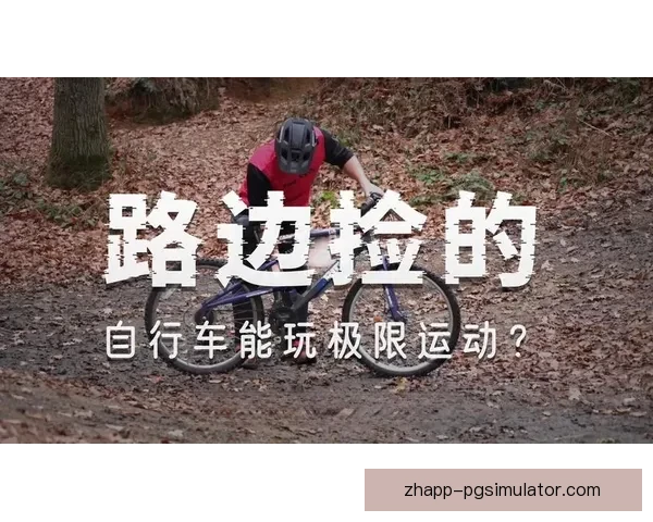 自行车排名：挑战极限速度，创造奇迹风云